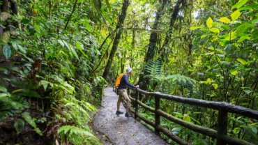 hike in costa rica 2023 11 27 05 25 00 utc 3