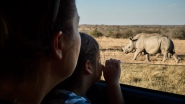 mother and daughter admiring rhinoceroses through 2024 09 23 04 00 15 utc