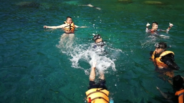 people snorkelling in the sea 2023 11 27 05 08 32 utc