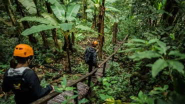 hikers crossing wooden bridge in forest ban nongl 2024 06 20 18 20 15 utc 2