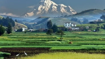 Ecuador: Your Ultimate Travel Guide