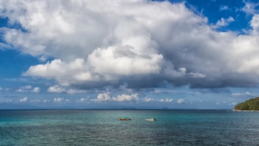 Vibrant Heart Of Jamaica